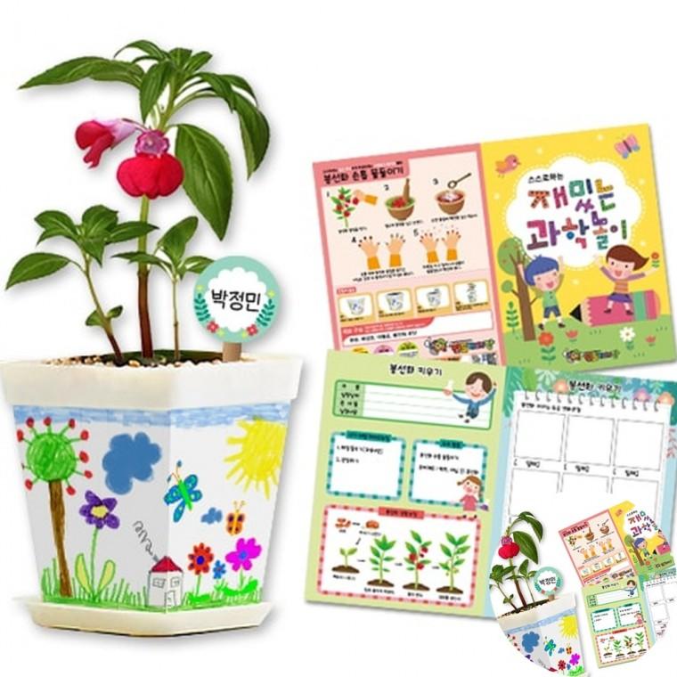 봉선화 화분 만들기 동물화분 채색화분 식물화분