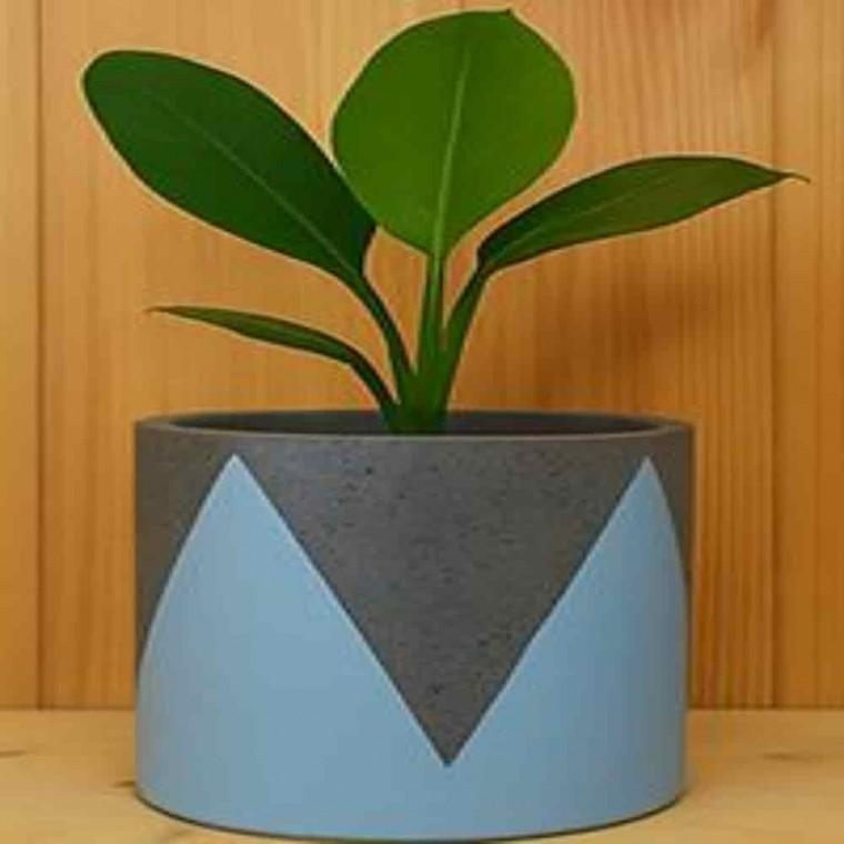 돈나무화분 가정용화분 인테리어화분 시멘트화분 크라운패턴 30x28