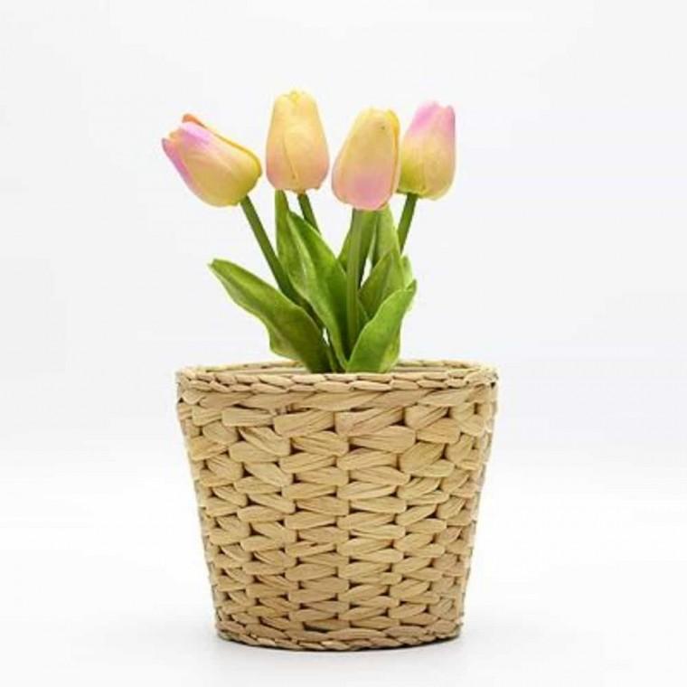 부레옥잠 화분 12cm 라탄화분 라탄화분커버 식물화분