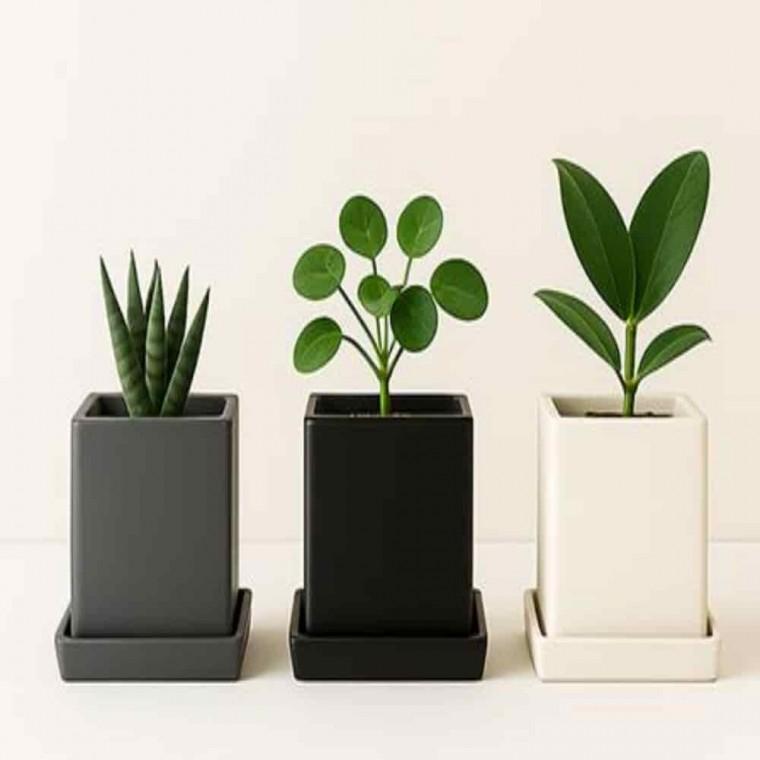 사무실책상화분 장식용화분 탁상용화분 도자기화분 받침 세트 무광 8x8 3set