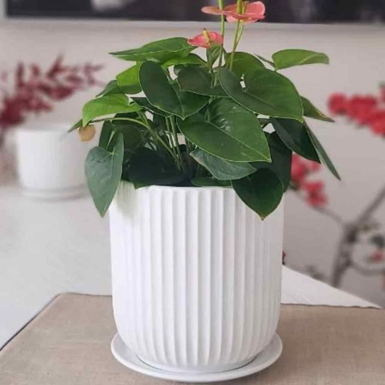 베란다화분 가정용화분 실내도자기화분 도기화분 세로줄실린더 15x15