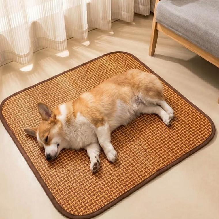 3가지 활용형 사이즈 반려동물 강아지 고양이 여름 쿨링매트