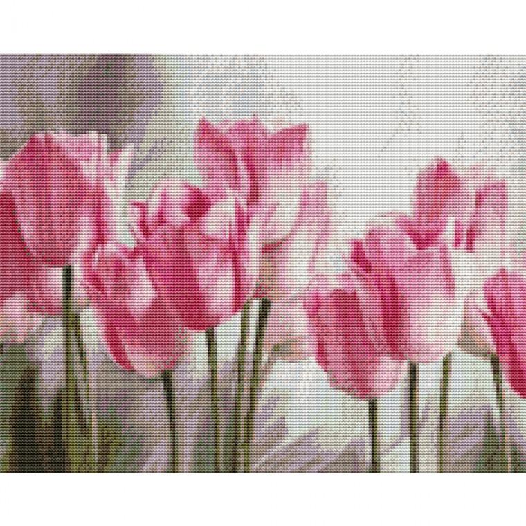 하모니아트 DIY보석십자수 캔버스형 40X50 튤립