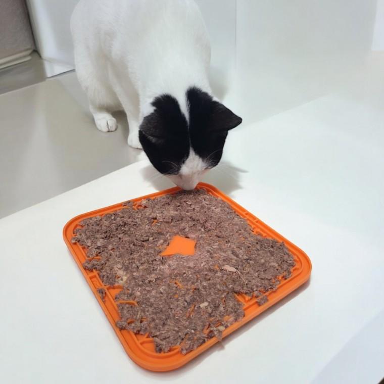 강아지 고양이 슬로우식기 리키매트