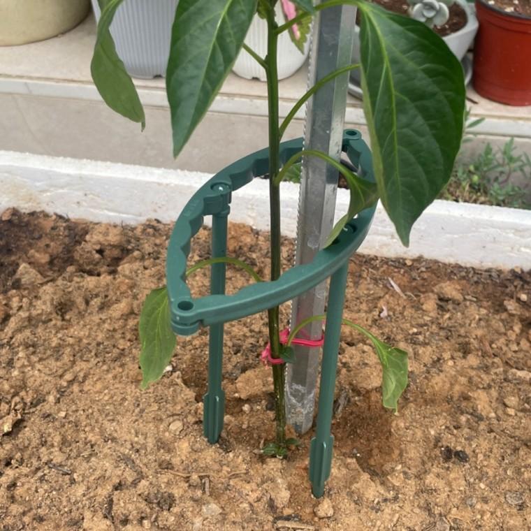 둥근 조립형 화분 식물지지대 15cm 4P