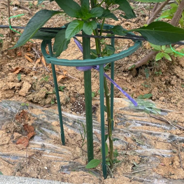 둥근 조립형 화분 식물지지대 25cm 4P