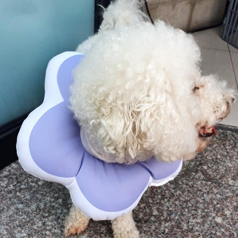 꽃피는 강아지 고양이 쿠션 넥카라 퍼플 L