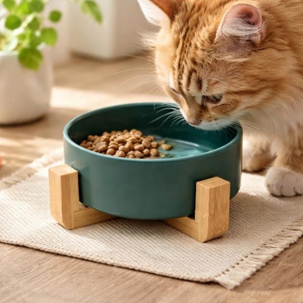 반려동물 우드받침 도자기식기 13cm 그린