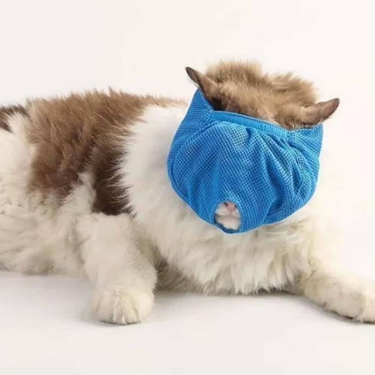 고양이 매쉬 입마개 물림 머리덮개 고양이마스크