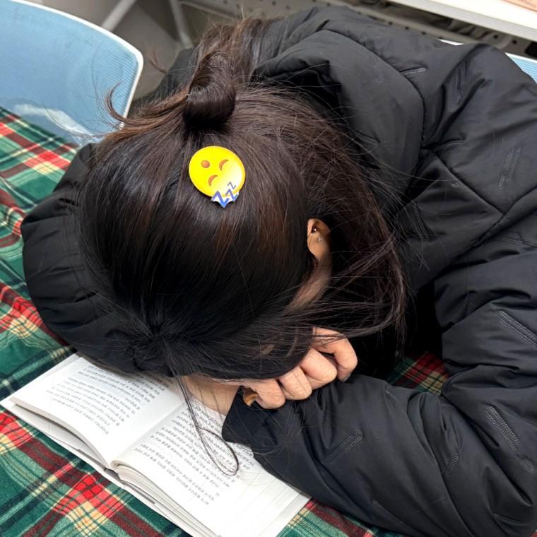 이모지 이모티콘 머리핀 쿨쿨