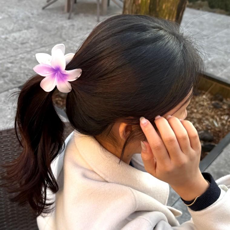 플루메리아 하와이꽃 집게핀 퍼플샤인