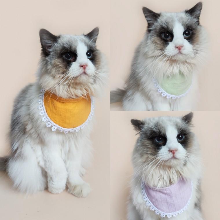 애견 애묘 턱받이 케이프 고양이 강아지 의류