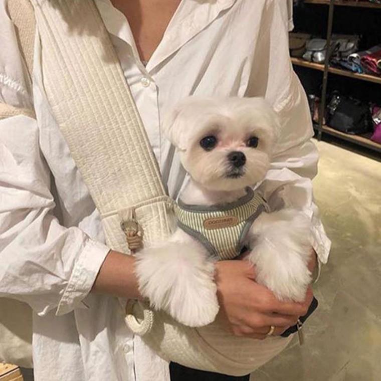 개가방 안전한 슬링백 달라붙는 핏 고양이 이동백