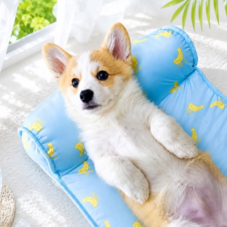 강아지 고양이 쿨매트 여름 냉감매트 아이스 방석 애견 반려견 쿨링 냉감패드