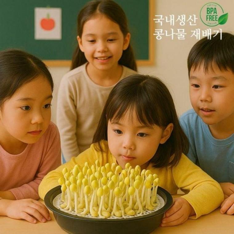 국내 생산 콩나물 재배기 집에서 새싹 키우기 유치원