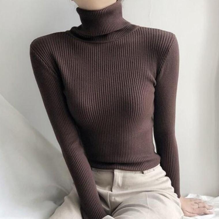 LD 골지
