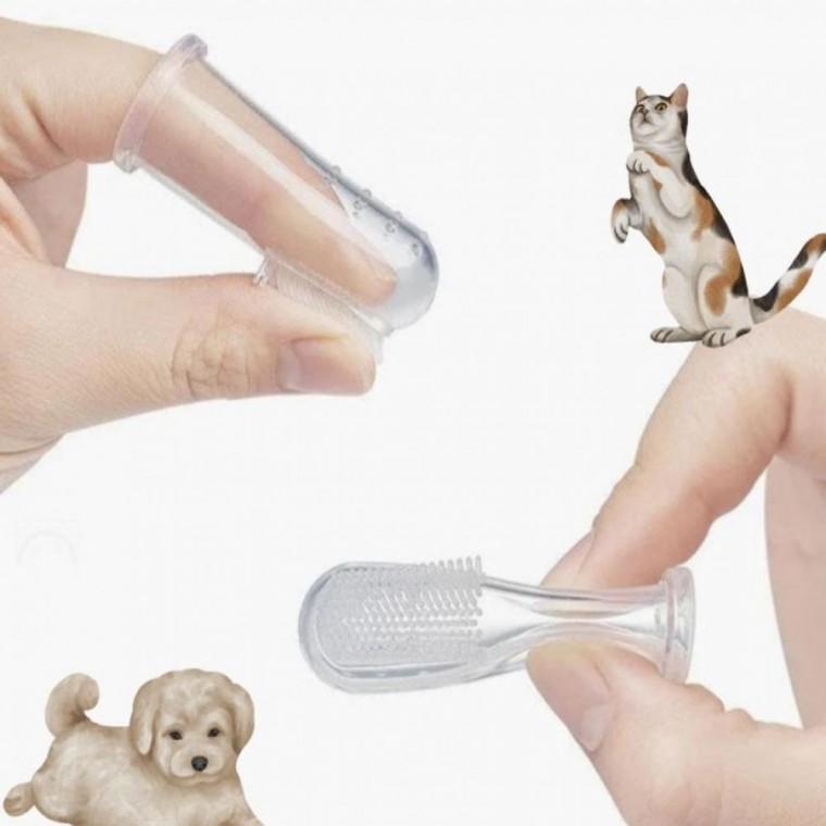 치석제거 양치질 반려동물 손가락 칫솔