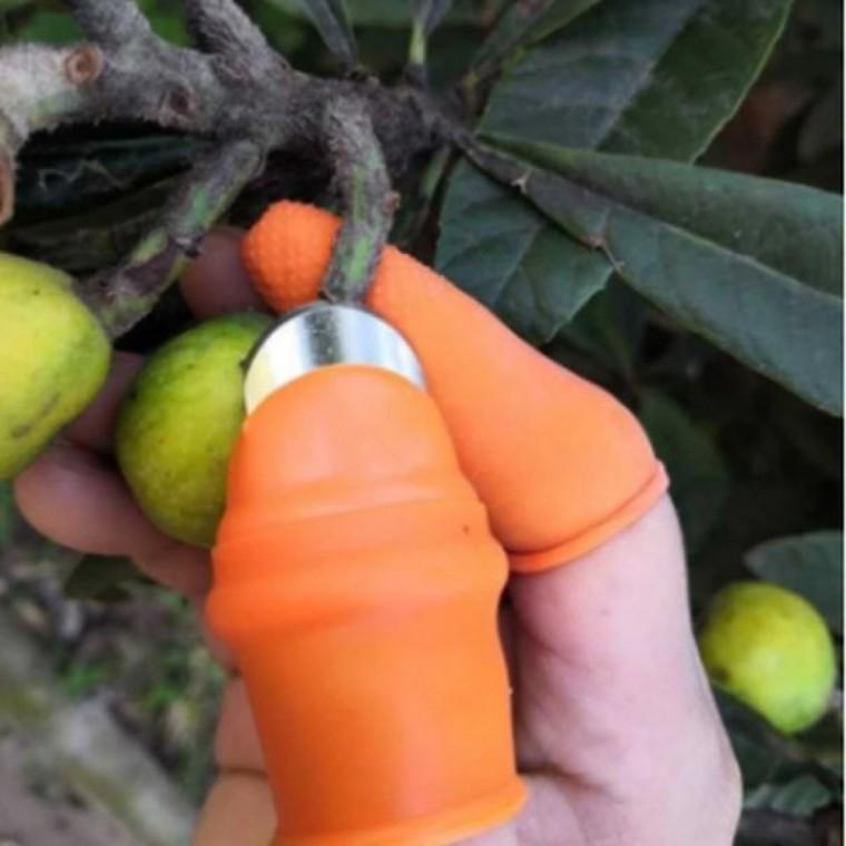 손가락 엄지 커터 농작물 다듬기