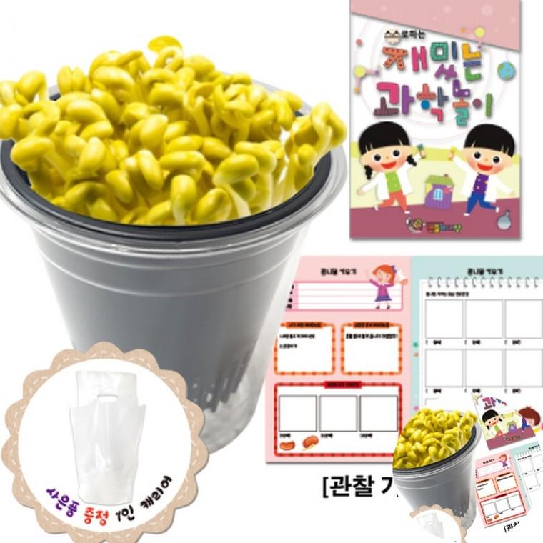 콩나물 키우기 과학키트 과학교구 콩나물키트