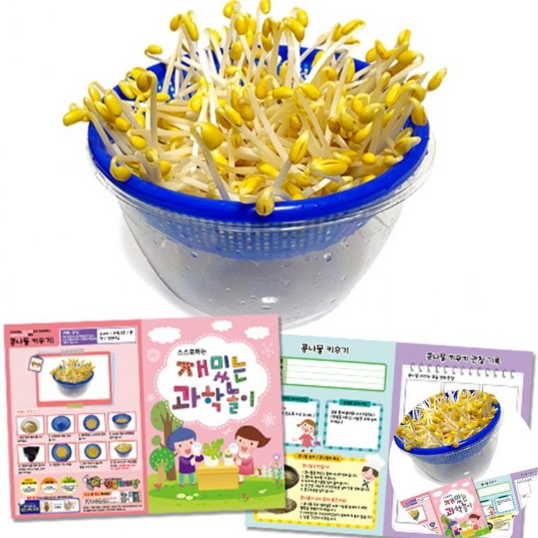 콩나물 키우기 콩나물재배키트 집에서콩나물키우기 콩나물키우기키트