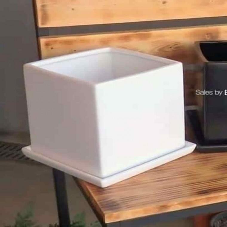 베란다화분 바질키우기 책상위화분 도기화분 사각 18x18x18