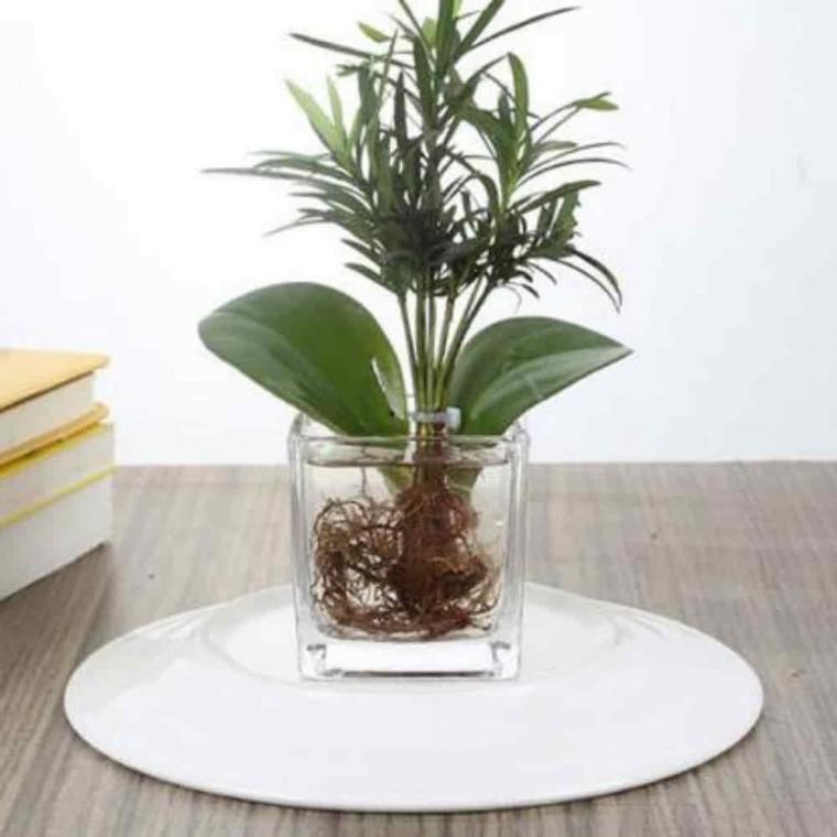예쁜꽃병 조화화병 오브제화병 유리 사각 화병 15x15x15