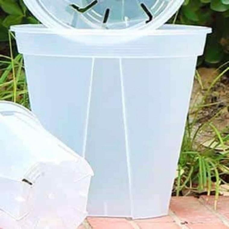 묘목화분 투명슬릿분 분재화분 삽목 슬릿화분 투명 21cm