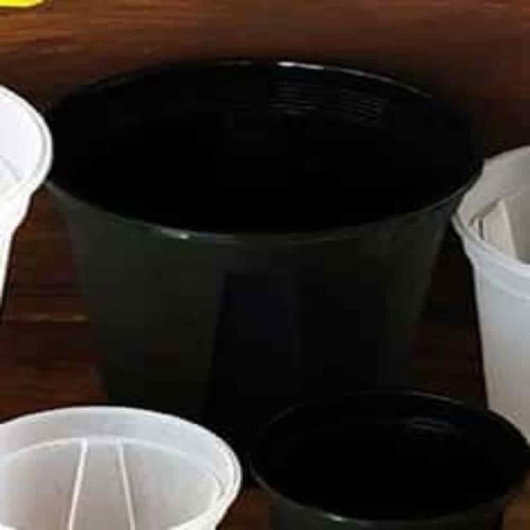 플라스틱원형화분 분재화분 미니모종화분 삽목 슬릿화분 블랙 24cm