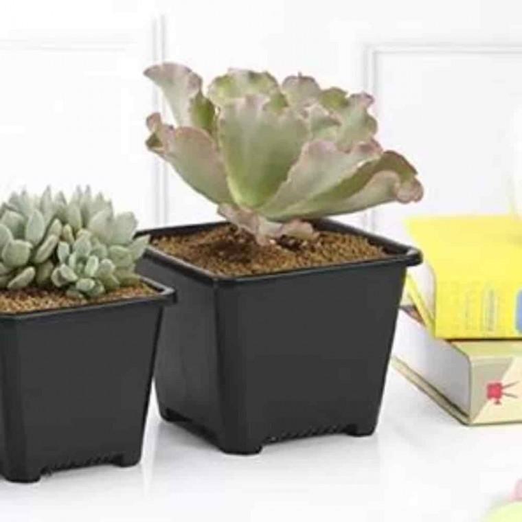 플라스틱화분 분갈이화분 사무실화분 플라스틱 모종 포트 화분 18x12