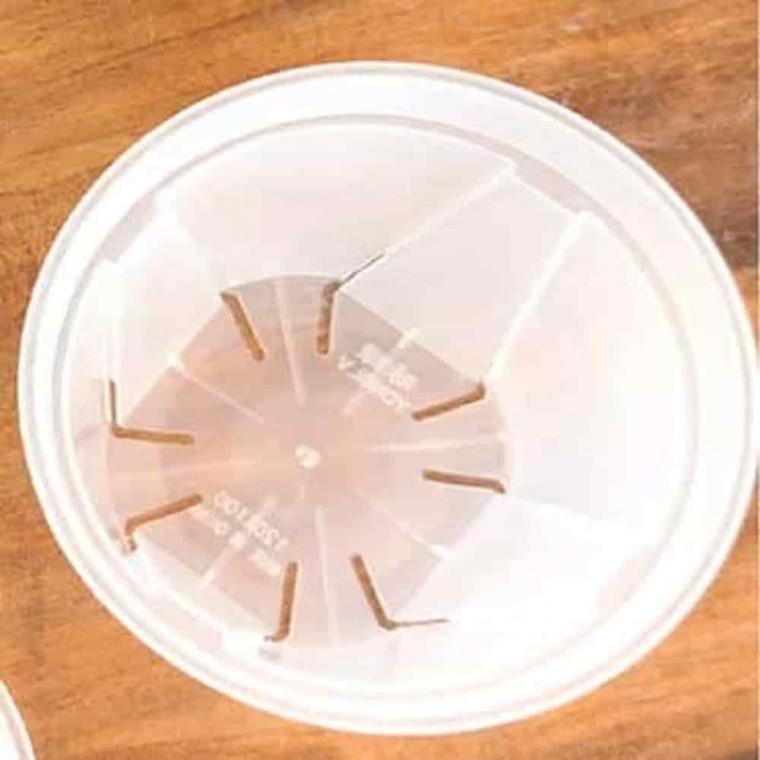 투명슬릿분 모종포트 베란다화분 삽목 슬릿화분 투명 24cm