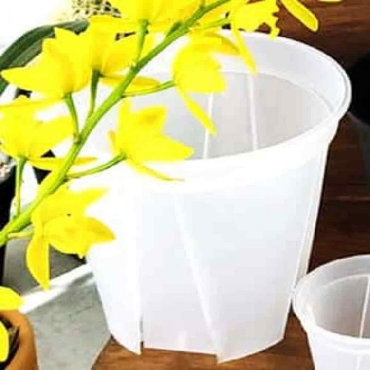 모종화분 삽목화분 플라스틱삽목화분 삽목 슬릿화분 투명 18cm