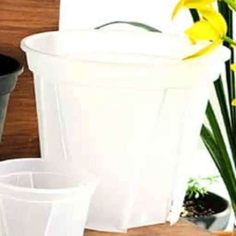 투명플라스틱화분 분갈이화분 플라스틱원형화분 삽목 슬릿화분 투명 15cm