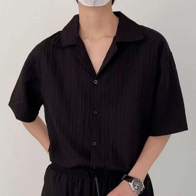 반팔 캐주얼 안정감 2color 남방 더블카라 플 셔츠 남성 여름