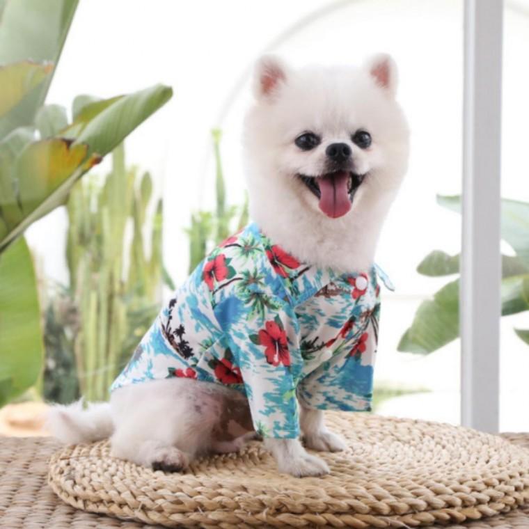 강아지 꽃남방 셔츠 하와이안 애견 여름 바캉스룩