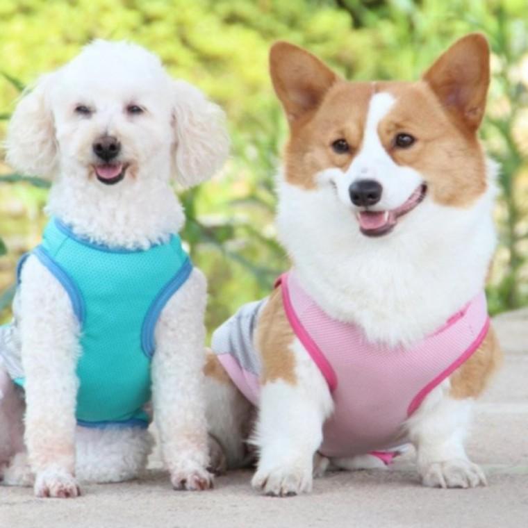 강아지 여름 쿨조끼 4XL 쿨티 반사 쿨링 베스트