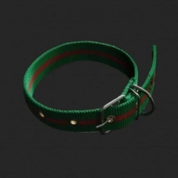 개목줄 PP 특대 30mm 초록 강아지목줄 반려견목줄