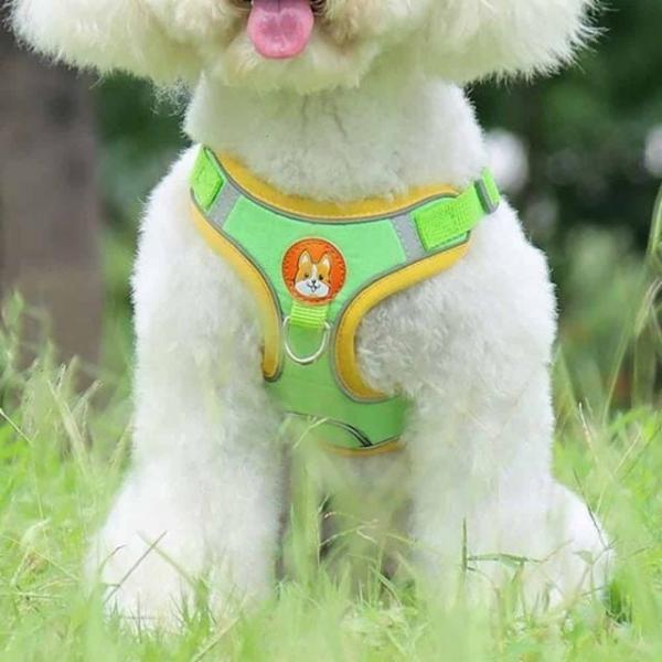 강아지 가슴줄 반려견가슴줄 강아지여름하네스