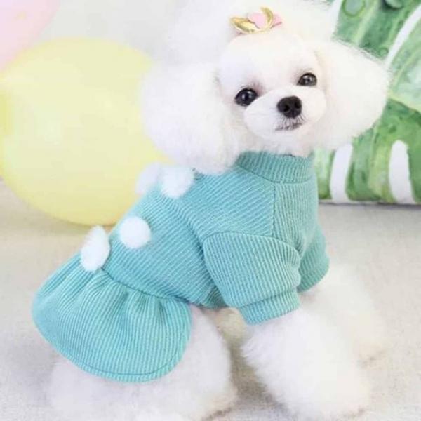 강아지 원피스 니트 펫의류 애견의류