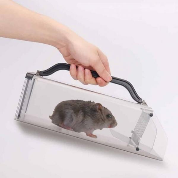 연속형 쥐트랩 쥐제거 쥐박멸