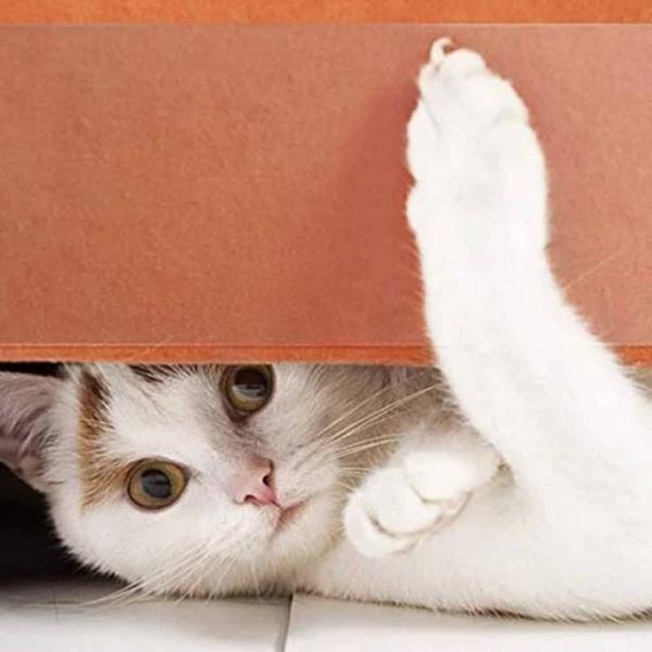 고양이 스크래치 방지 테이프 벽지보호테이프 벽에붙이는테이프