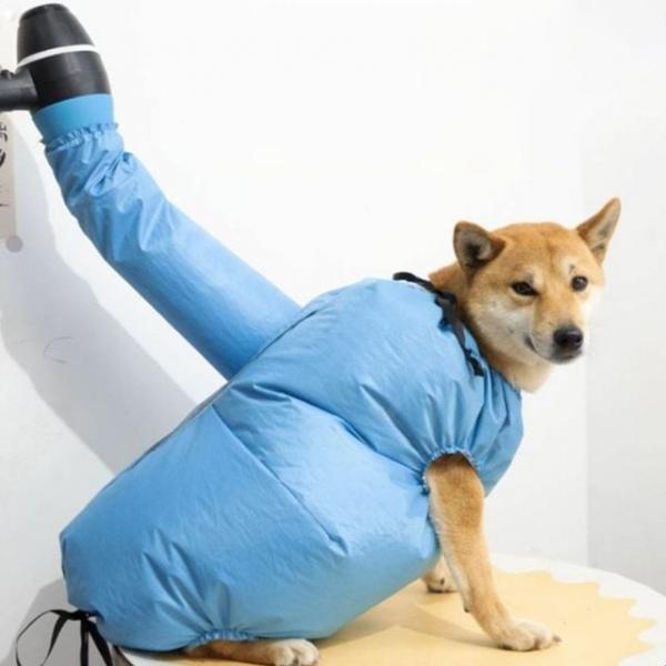 펫 드라이 건조복 1005834