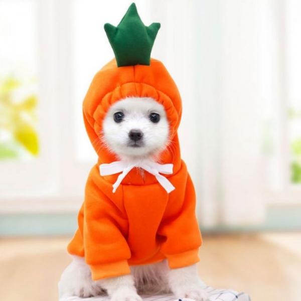 기모 강아지 고양이 반려동물 과일옷 1005851