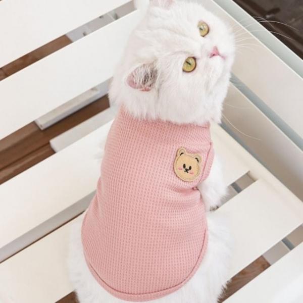 와플면 강아지 고양이 곰들이 베스트 1005861