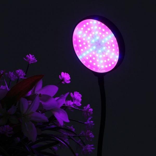 주 Tree 쑥쑥 광합성 LED 식물등 헤드형 + ( + ) (블루+레드) 블루 레드