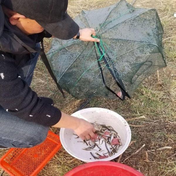 접이식 8구 사각 통발 물고기 그물망 새우 낚시 민물낚시 소품 뜰채 어망 바다낚시 용품
