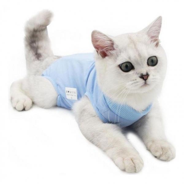 고양이 중성화옷 화복 수술복 중성복 수술옷 겨울옷 애완 용품 동물 애견 패딩 의류