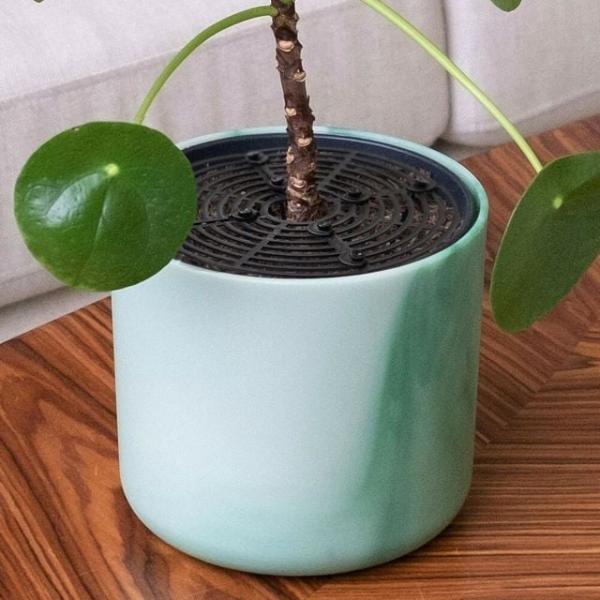 bns 화분 흙 덮개 커버 날림 방지 19cm
