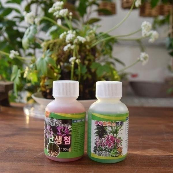 bns 난생첨 / 파워발란스 액비 100ml 식물 활력증강제