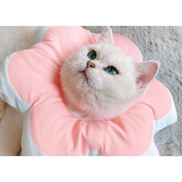 고양이 키티요요 플라워 넥카라 핑크 S 1P 수술 보호