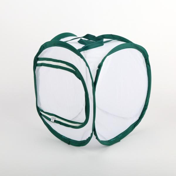 나비 곤충채집 키우기 관찰망 소